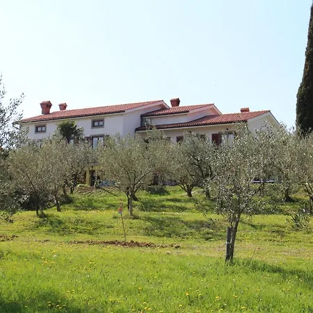 Med Oljkami Apartment Koper Exterior photo