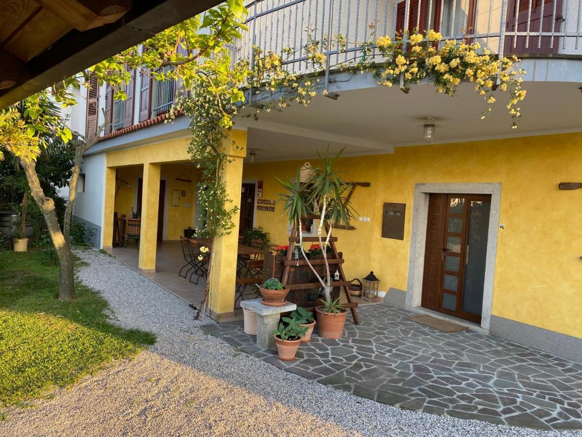 Med Oljkami Apartma